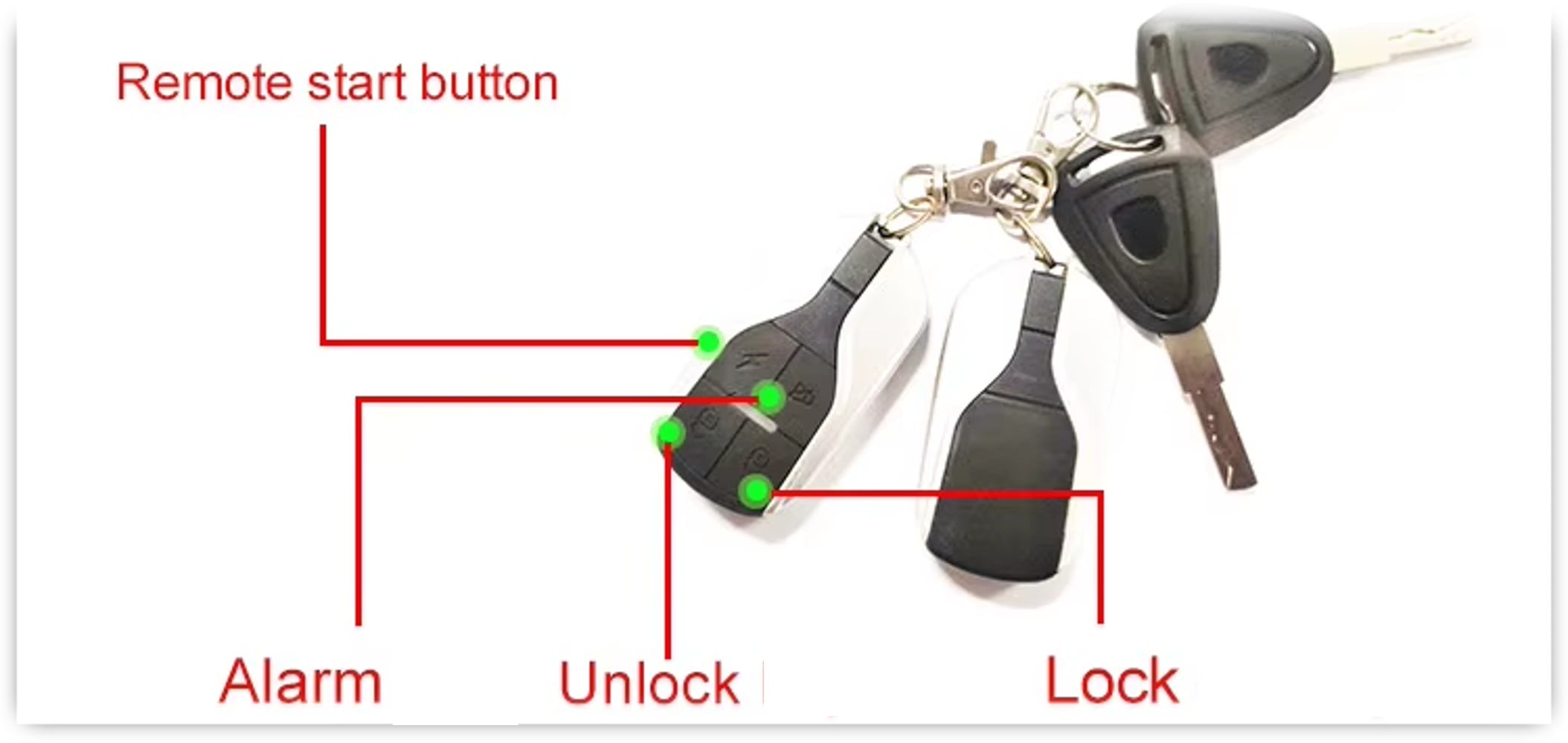 Velogreen XYH 1000W 48V 25Ah Li - Image 10