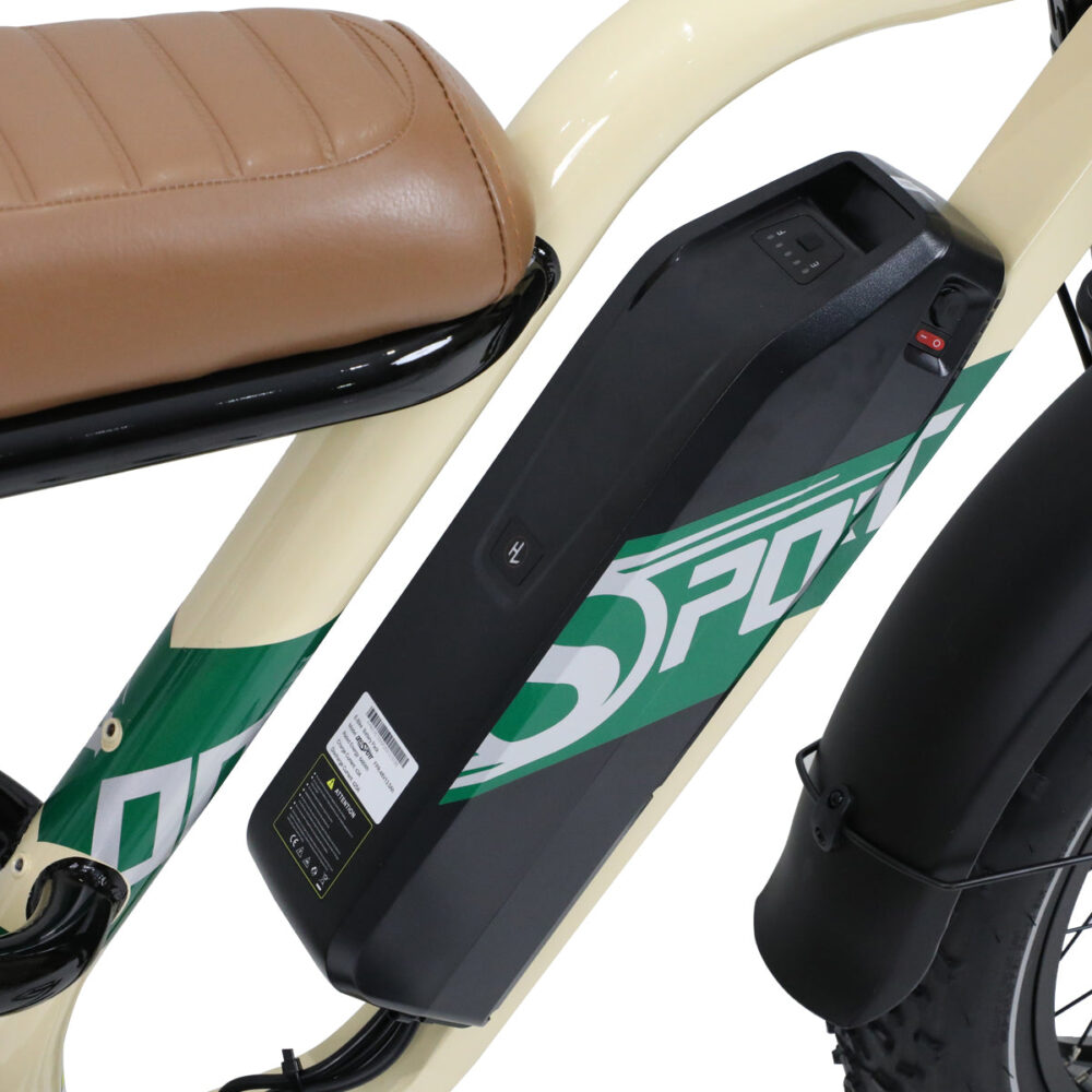 Velogreen W66 48V/13Ah EU LEGAL - Image 10