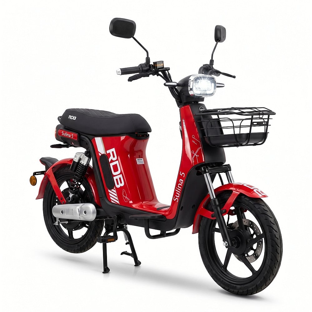 Velogreen RDB SULINA 1000 48V/30Ah Li ΧΩΡΙΣ ΔΙΠΛΩΜΑ - Image 2